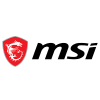 MSI