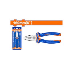 ბრტყელტუჩა 6