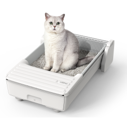 https://justshop.ge/brand_ubtech/ge-katis-chkviani-saxli-ubtech-ucat-c31-smart-cat-litter-box-white კატის ჭკვიანი სახლი UBTech UCAT C31, Smart Cat Litter Box, White