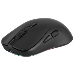 2E GAMING Mouse MG270 WL, WL/BT, black
