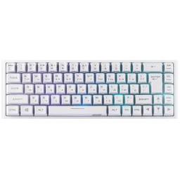 2E GAMING Membrane keyboard KG360 68key, USB-A/WL, EN/UA/RU, RGB, white