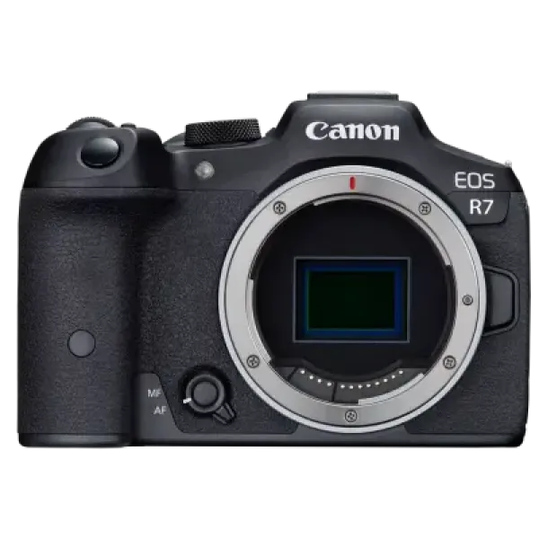 Main Image