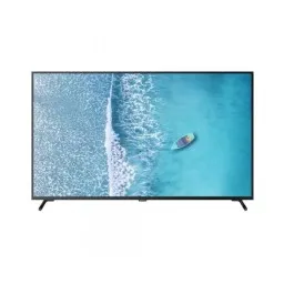 ტელევიზორი SUNNY 55'' (SN55FIL252/0276) WebOS TV