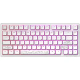კლავიატურა Dark Project ALU Terra Nostra White - Wired Gaming Keyboard (ANSI)-JUSTSHOP.GE-ზე