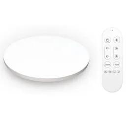 Moes ჭერის ჭკვიანი სანათი LED, RGB WCL-XJ24-RCW-Y-WH- MS