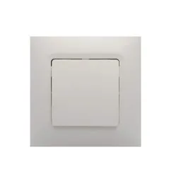LEGRAND 767100-ერთიანი ჩამრთველი (თეთრი)