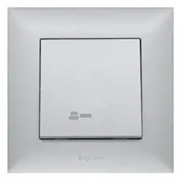 LEGRAND 768266-ერთიანი ჩამრთველი განათებით (ვერცხლისფერი)-JUSTSHOP.GE-ზე