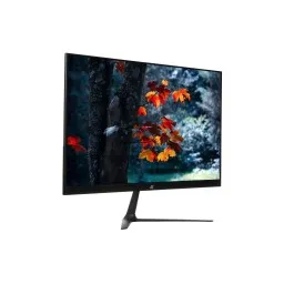2E მონიტორი LCD 23.8 C2420B D-Sub, HDMI, IPS, 1920x1080, 60Hz, 14 ms-JUSTSHOP.GE-ზე