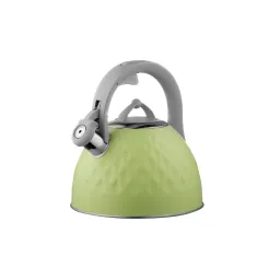 Ardesto ჩაიდანი Kettle Gemini, 2.5 l, green, stainless steel