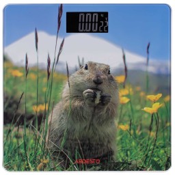 Ardesto იატაკის სასწორი SCB-965MARMOT-JUSTSHOP.GE-ზე