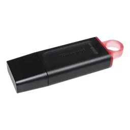 Kingston ფლეშ მეხსიერება 256GB USB 3.2 Type-A Gen1 DT Exodia-JUSTSHOP.GE-ზე