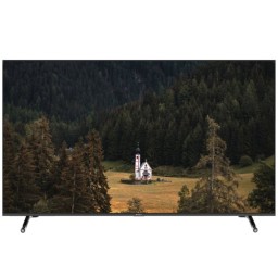ტელევიზორი SUNNY 65'' (SN65FIL252) WebOS TV