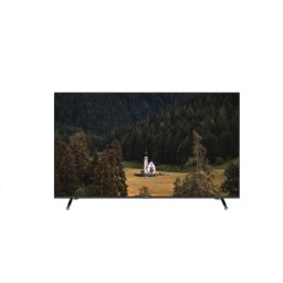 ტელევიზორი SUNNY 50'' (SN50FIL252/0276) WebOS TV