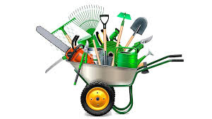 ბაღი და ეზო