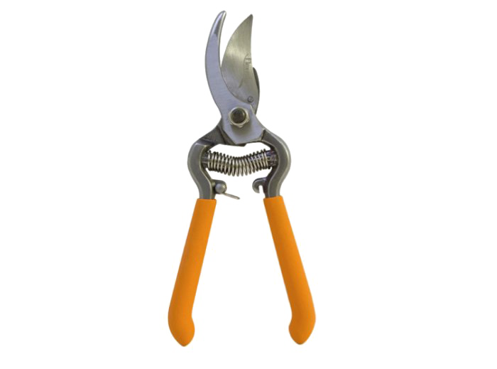 სეკატორი